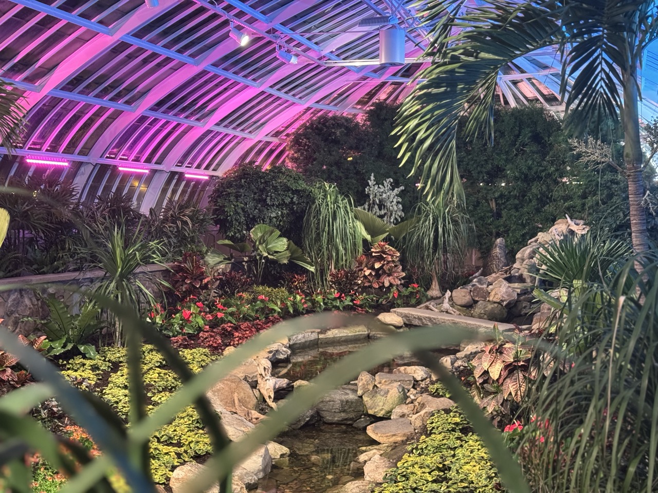 Beauty or Comfort? How a Conservatory Visit Changed My Perspective