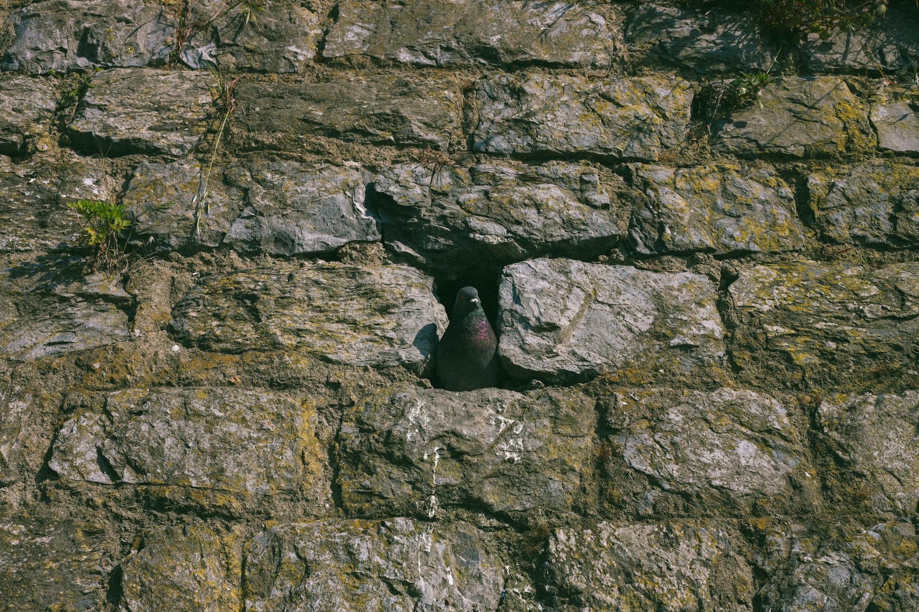 Gods, Demons, and People with Faces